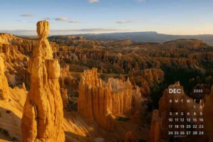 wallpaper calendar 2025